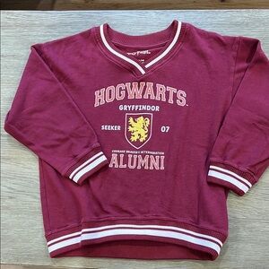 Hogwarts v-neck sweatshirt. Girl size large/14.
